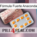 Fórmula Fuerte Anaconda new13